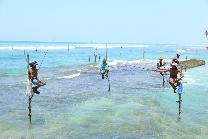 The Amazing Stilt-Fisherman of Sri Lanka will tell you everything about the culture of Stilt-Fishing and even train you to Stilt-Fish!